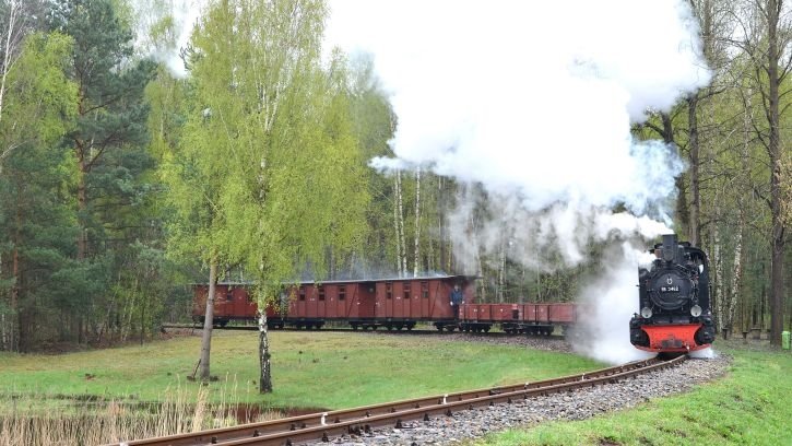 Güterzug-Plandampf am 28. April 2013 auf den Strecken der Waldeisenbahn Muskau - Foto: Willi Haupt, Berlin