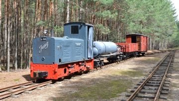 99 3312-8 Güterzug-Plandampf am 28. April 2013 auf den Strecken der Waldeisenbahn Muskau- Foto: Willi Haupt, Berlin